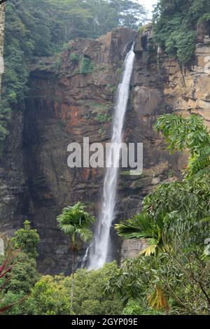 Mother of nature create everything to us Stock Photo