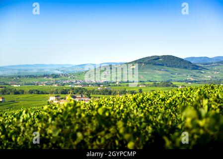 Le Mont Brouilly, et les villages de Cercié et Morgon, Beaujolais, France Stock Photo