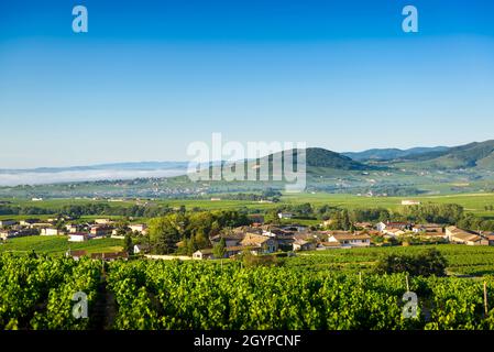 Le Mont Brouilly, et les villages de Cercié et Morgon, Beaujolais, France Stock Photo