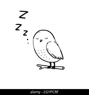 Hand drawn cute sleep owl with zzz text. Doodle sketch style. Drawing line simple sleep owl icon. Isolated vector illustration. Stock Vector