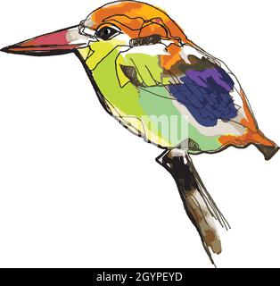 kingfisher bird hunter digital hand drawn illustration vector style Stock Vector
