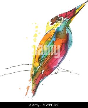 kingfisher bird hunter digital hand drawn illustration vector style Stock Vector