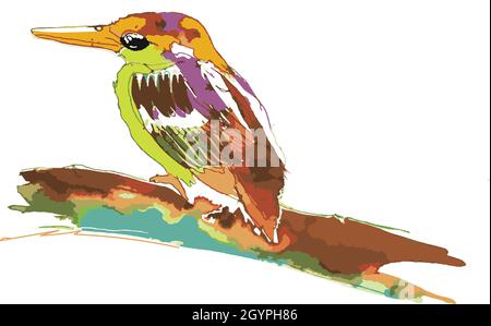 kingfisher bird hunter digital hand drawn illustration vector style Stock Vector