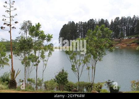 Mother of nature create everything to us Stock Photo