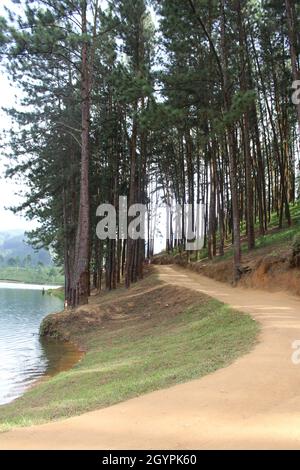 Mother of nature create everything to us Stock Photo