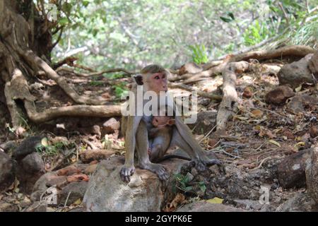 Mother of nature create everything to us Stock Photo