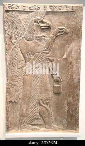 Assyrian eagle-headed protective spirit from Nimrud, Temple of Ninurta, at the British Museum, London, UK Stock Photo