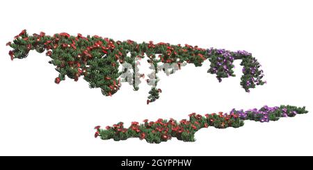 3D illustration climbing plants creepers isolated on white background Stock Photo