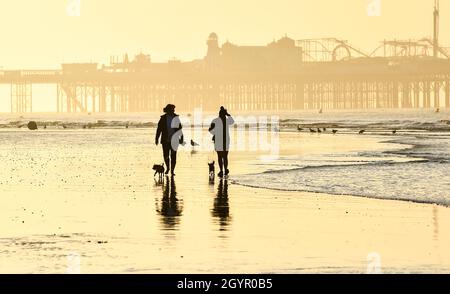 Brighton UK 9th October 2021 - Dog walkers enjoy a beautiful morning and an extra low tide on Brighton beach as warm sunny weather is forecast for parts of the UK today : Credit Simon Dack / Alamy Live News