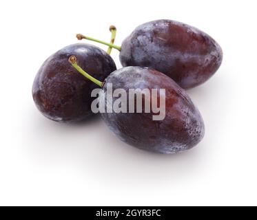 fresh prune plums isolated on white background Stock Photo