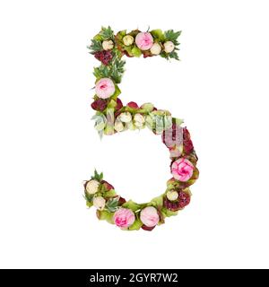 The number Five Part of a set of letters, Numbers and symbols of the Alphabet made with flowers, branches and leaves on white background Stock Photo