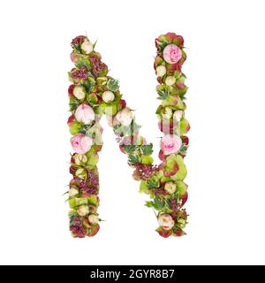 Capital Letter N Part of a set of letters, Numbers and symbols of the Alphabet made with flowers, branches and leaves on white background Stock Photo