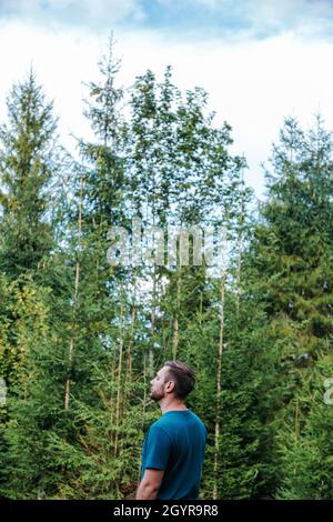 Man relax in forest against conifers trees blue sky. Hiking unity of people with nature. Portrait of young caucasian man in profile in fir trees and Stock Photo