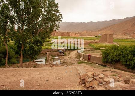 Sahara Desert Oasis and Landscape Photographed in Morocco Stock Photo