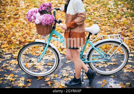 Side view of city retro women's bicycle with wicker brown basket filled pink flowers. Cropped girl keeping bike on asphalt trail on the background of glade, almost fully covered with fallen leaves. Stock Photo