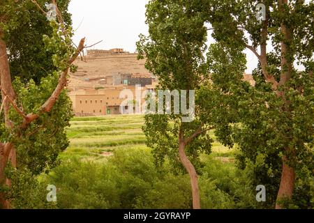 Sahara Desert Oasis and Landscape Photographed in Morocco Stock Photo