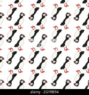 Vector white background ocean seabird, arctic birds, puffins. Seamless pattern background Stock Vector