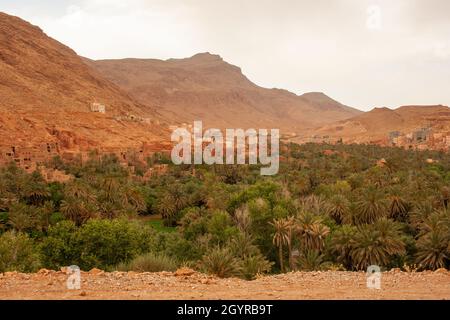 Sahara Desert Oasis and Landscape Photographed in Morocco Stock Photo