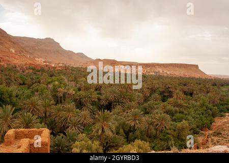 Sahara Desert Oasis and Landscape Photographed in Morocco Stock Photo