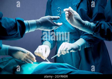 doctor and nurse medical team are performing surgical operation at emergency room in hospital. assistant hands out scissor and instruments to surgeons Stock Photo