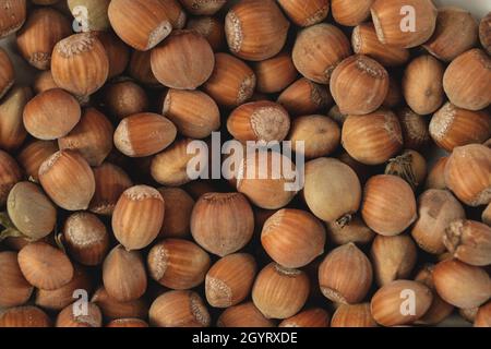 Ripe hazelnuts, Corylus avellana fruits top view Stock Photo