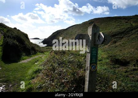 Footpath signpost above Caer Bwdy Bay on the Pembrokeshire Coastal Path. Ynys Penpleidian island can be seen offshore. Wales, UK Stock Photo