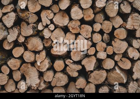 Dry chopped olive firewood stacked in a wood pile, hi res stock photo Stock Photo