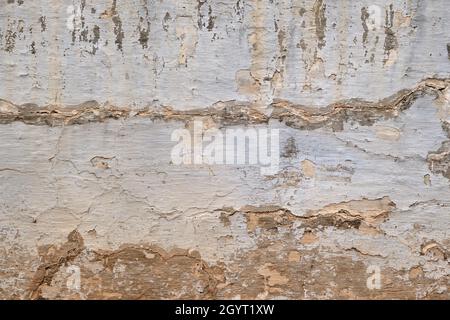 Old ruin limewashed white wall with peeling plaster, grunge background or texture Stock Photo