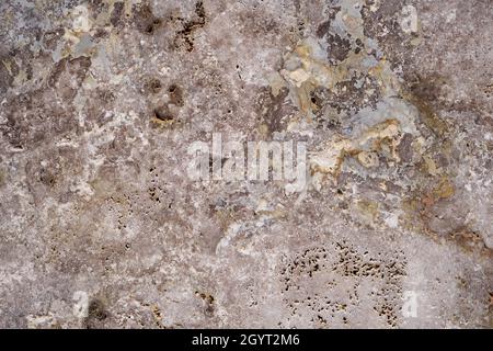Classic travertine stoneware porcelain tiles, rustic natural stone effect, porous limestone texture detail Stock Photo