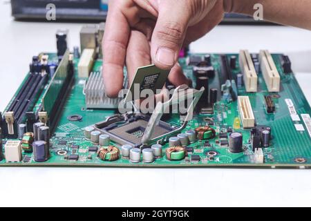 Technician hand holding the CPU for fixing and upgrade computer pc to repair inside The socket motherboard or equipment. Computer service shop center Stock Photo