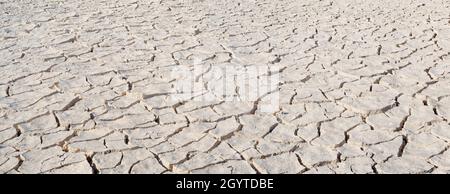Cracked white clay surface texture. Wide angle, deep focus panorama Stock Photo