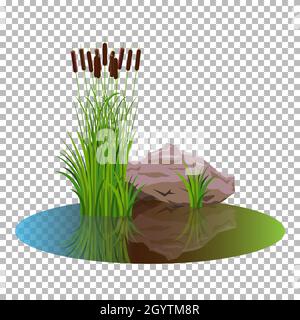 Vector cattails in the pond with bush reeds with stone close the water. Attractive Reeds stern and stone aside, reflected in the lake water nature Stock Vector