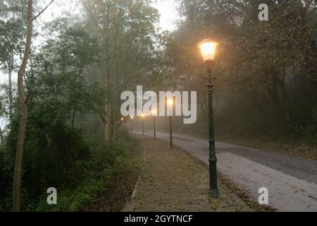 Road with classic street lamps in a misty environment Stock Photo