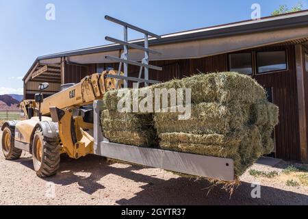 A Caterpillar TH580B Telescopic Forklift with a hay squeeze attachment lifts a stack of hay bales for loading. Stock Photo