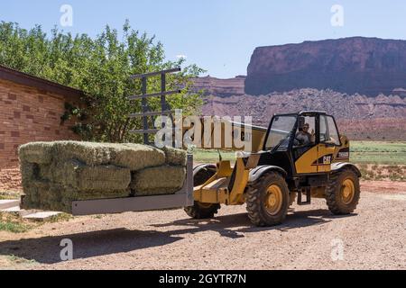 A Caterpillar TH580B Telescopic Forklift with a hay squeeze attachment lifts a stack of hay bales for loading. Stock Photo