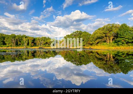 Cumulus clouds over lake, William O'Brian SP, MN, USA, by Dominique Braud/Dembinsky Photo Assoc Stock Photo