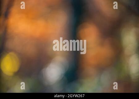 abstract color defocused spots for background Stock Photo