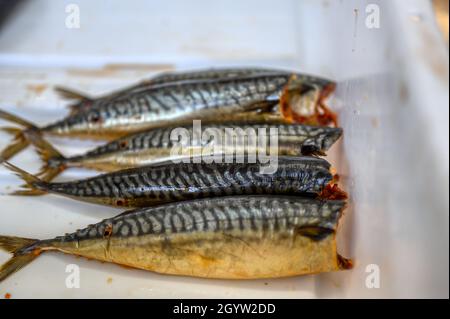 Lots of smoked mackerel carcasses. The fish lies in a heap in a white plastic box. Stock Photo