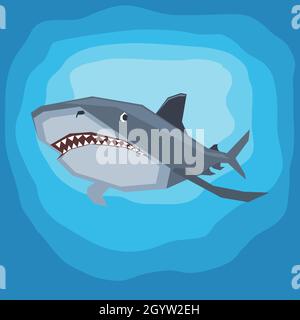 Killer shark illustration Stock Vector