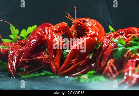 Red boiled cooked crayfish crawfish on tabletop. Stock Photo