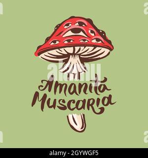 Amanita muscaria poison toxic mushroom illustration Stock Vector