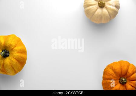 Autumnal kitchen or restaurant scene: three different colored miniature pumpkins lying on white background. Stock Photo