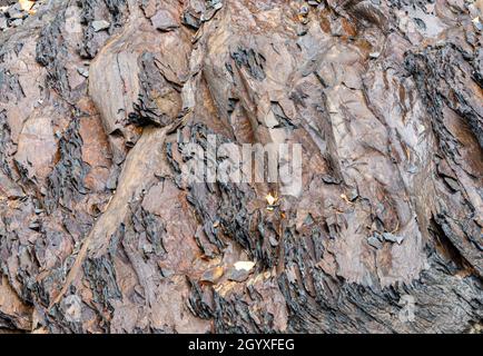 shale rocks background and texture colored Stock Photo