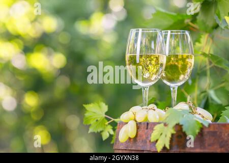 two glasses of white wine on wooden barrel in garden Stock Photo