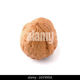 Strong walnut isolated on white background. Stock Photo