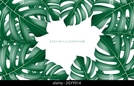 Vector realistic of Monstera Deliciosa plant leaf from tropical forests green on white background vector illustration. Stock Vector