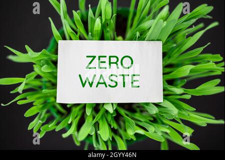 Top view of green grass with text zero waste Stock Photo