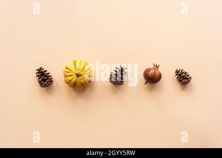 Minimal autumnal layout. Pine cones, pumpkin and dried pomegranate fruit on pastel orange background. Top view, flat lay. Stock Photo