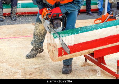 Man holds a chainsaw in his hands and cuts a marked log for accuracy on competition of lumberjacks. Stock Photo