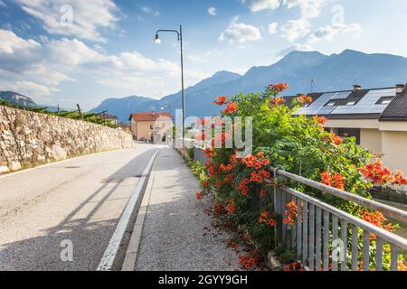 Rural road in suborb of Trento, Alps on background, solar panels on a roof, focus on flowers of Chinese trumpet vine on the right Stock Photo